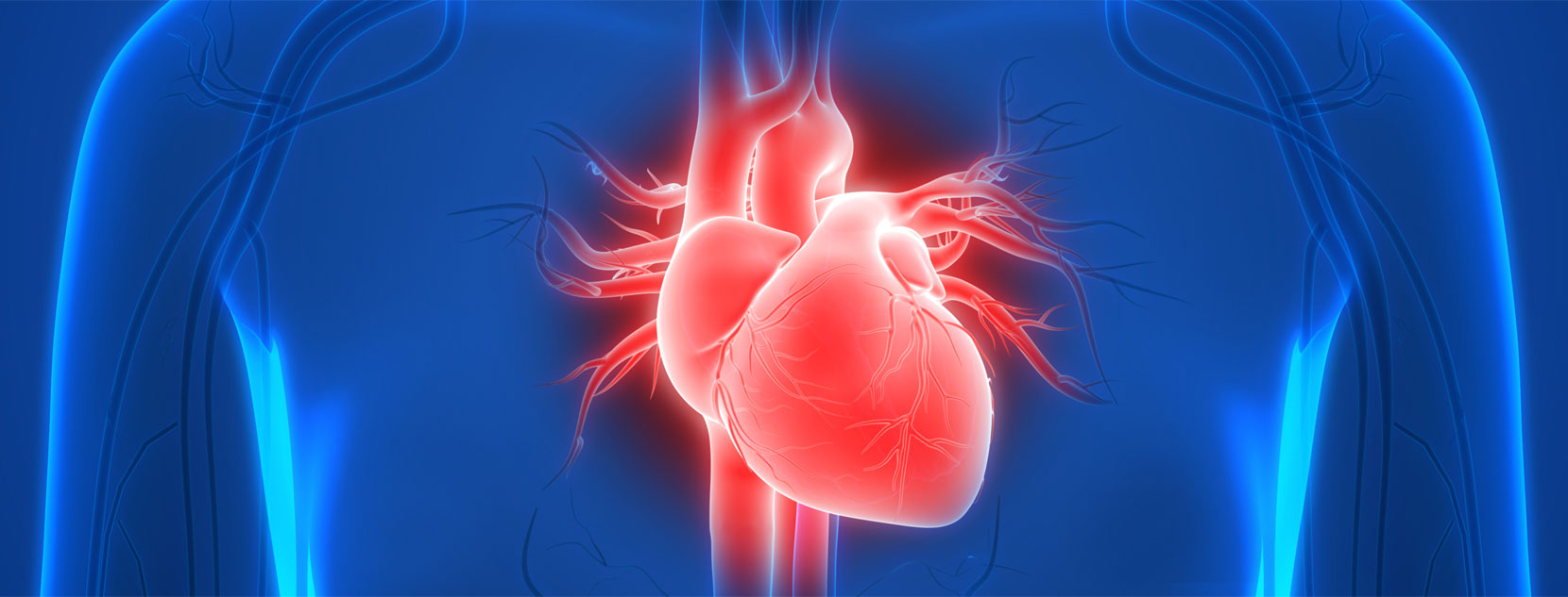 Cardiovascular Disease: A Common Late Effect of Treatment