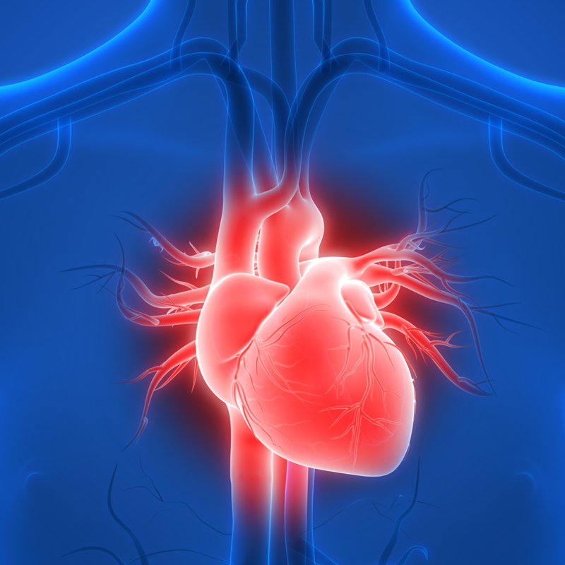 What are Late Effects?